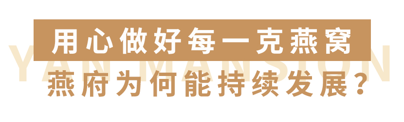 燕府燕窝丨因为有你  所以精彩