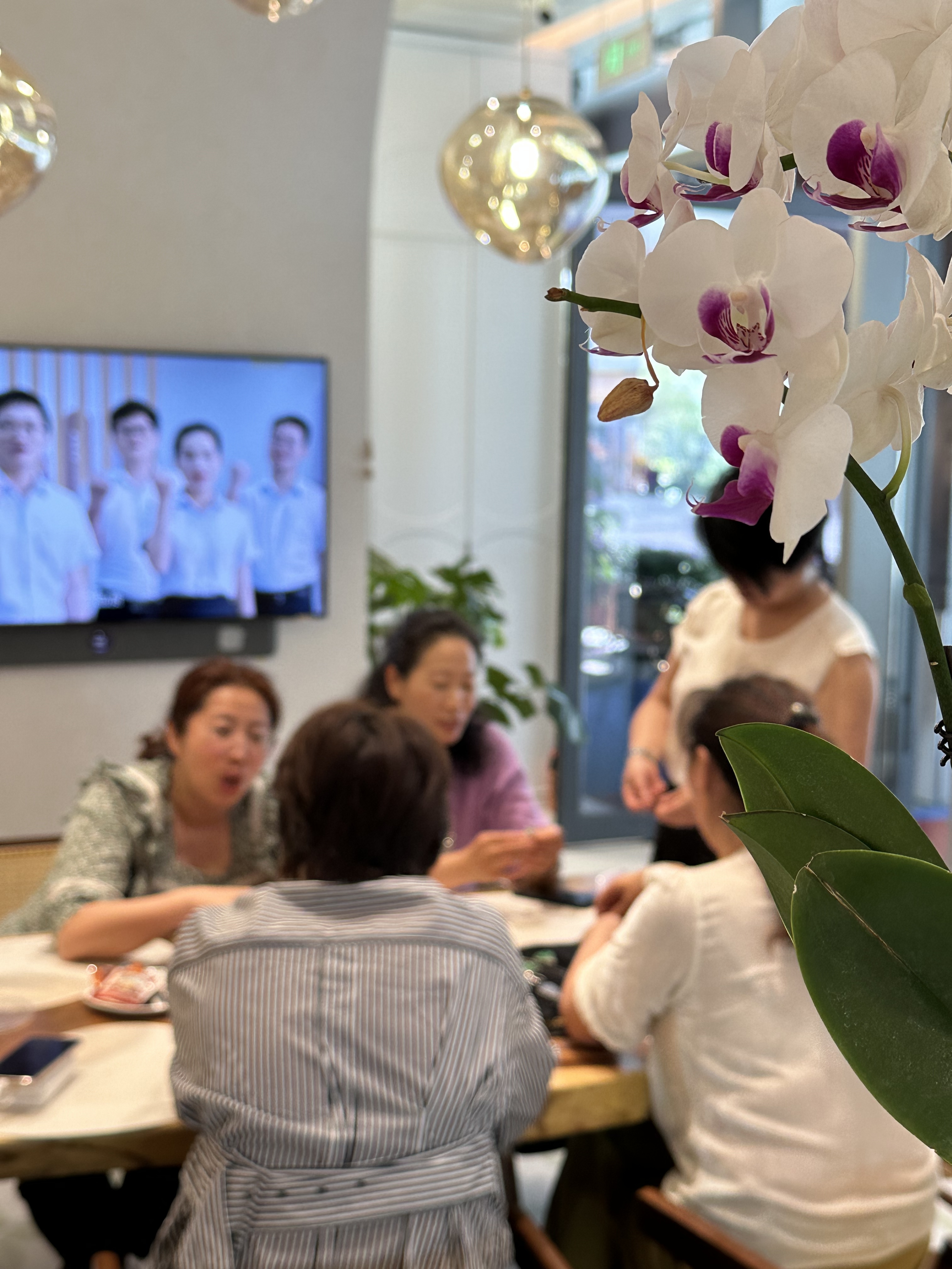 翡你莫属·翠璨如你丨燕府翡翠品鉴会圆满落幕